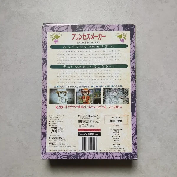 Princess Maker – Image 11